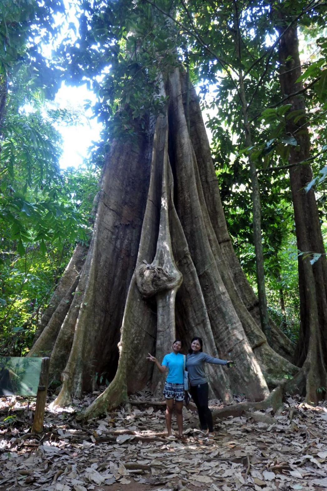 Ban Tha Ton Do Koh Yao Noi Daire Dış mekan fotoğraf